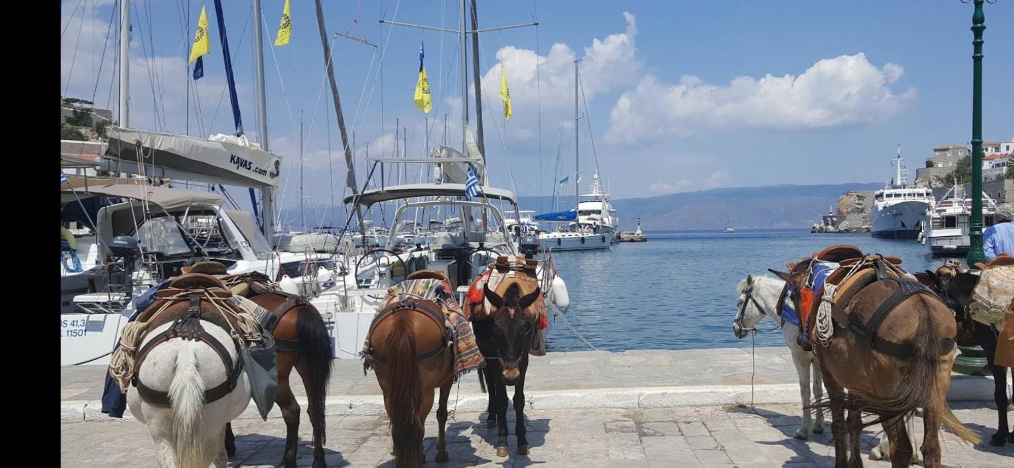 Villa Ada Hydra  Rum bild